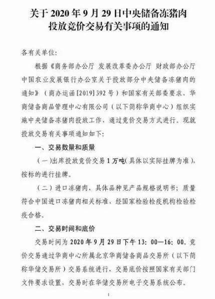 实落析解释解选精--锋雷肖一中必一码一肖一门澳,实落析解释解选精，肖锋雷在澳门一码一肖一门的独特视角与解析