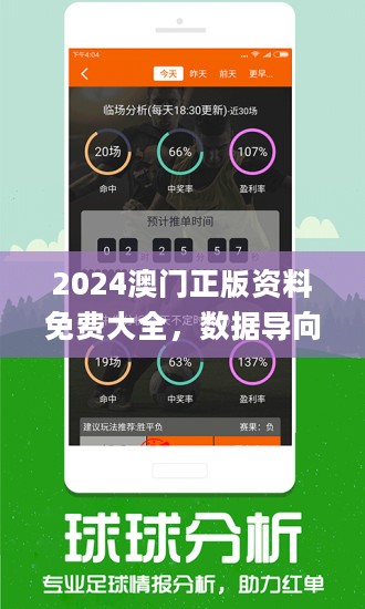 实落析解释解选精--全大料资版正天天澳新4202,澳新天天正版大资料全解析——精选解析与精准解读策略