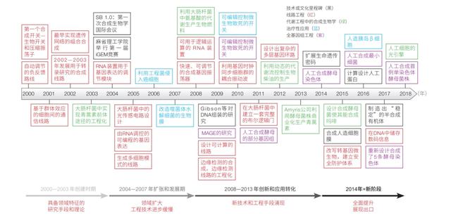 实落析解释解选精--门龙准精最费免门澳4202,精准解析，探索门龙准精与免费澳门之门4202的神秘面纱