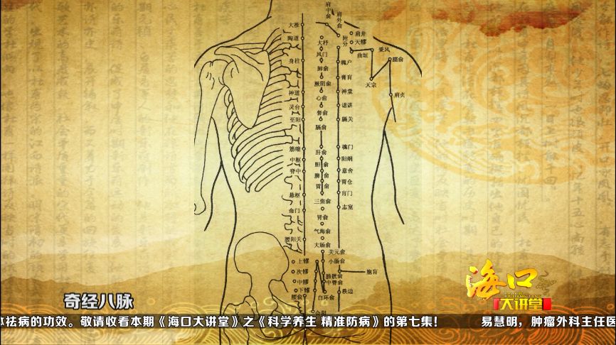 实落析解释解选精--出必期三仙大黄门澳新,实落析解释解选精——出必期三仙大黄门澳新之深度解读