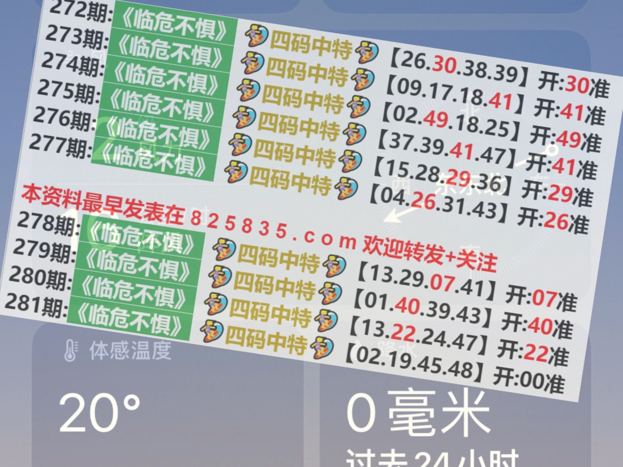 实落析解释解选精--奖开晚今门澳9494,澳门9494晚门开奖实落析解释解选精——探索与解读