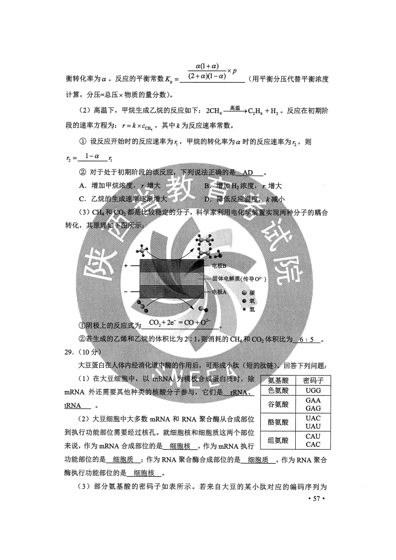 实落析解释解选精--站总料资+合+六+港香年3202,实落分析，解读精选资料站与香港在2023年的融合之路