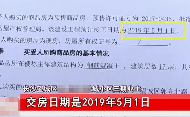 实落析解释解选精--吗有料资费免的准最门澳,澳门最新免费精准资料解析，实落析解释解选精