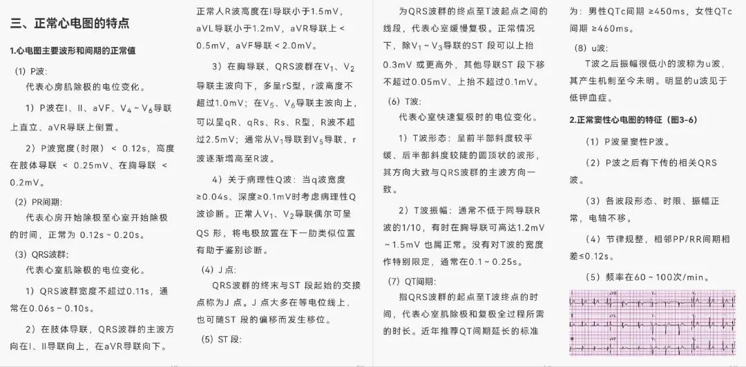 实落析解释解选精--子一肖一一码一肖一,实落析解释解选精——探索肖一码一肖一的真谛